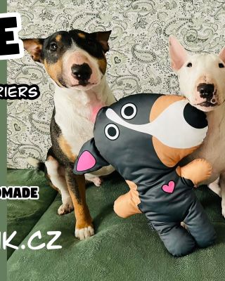 We can make anything you have in your dreams.. we draw.. we print on fabrics and sew everything with our own hands! With...