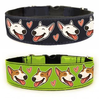 Nová kolekce obojků je na světě! 🤩 Na eshopu najdete všechny možný kombinace typů, šířky obojků a barev a sladit obojek...